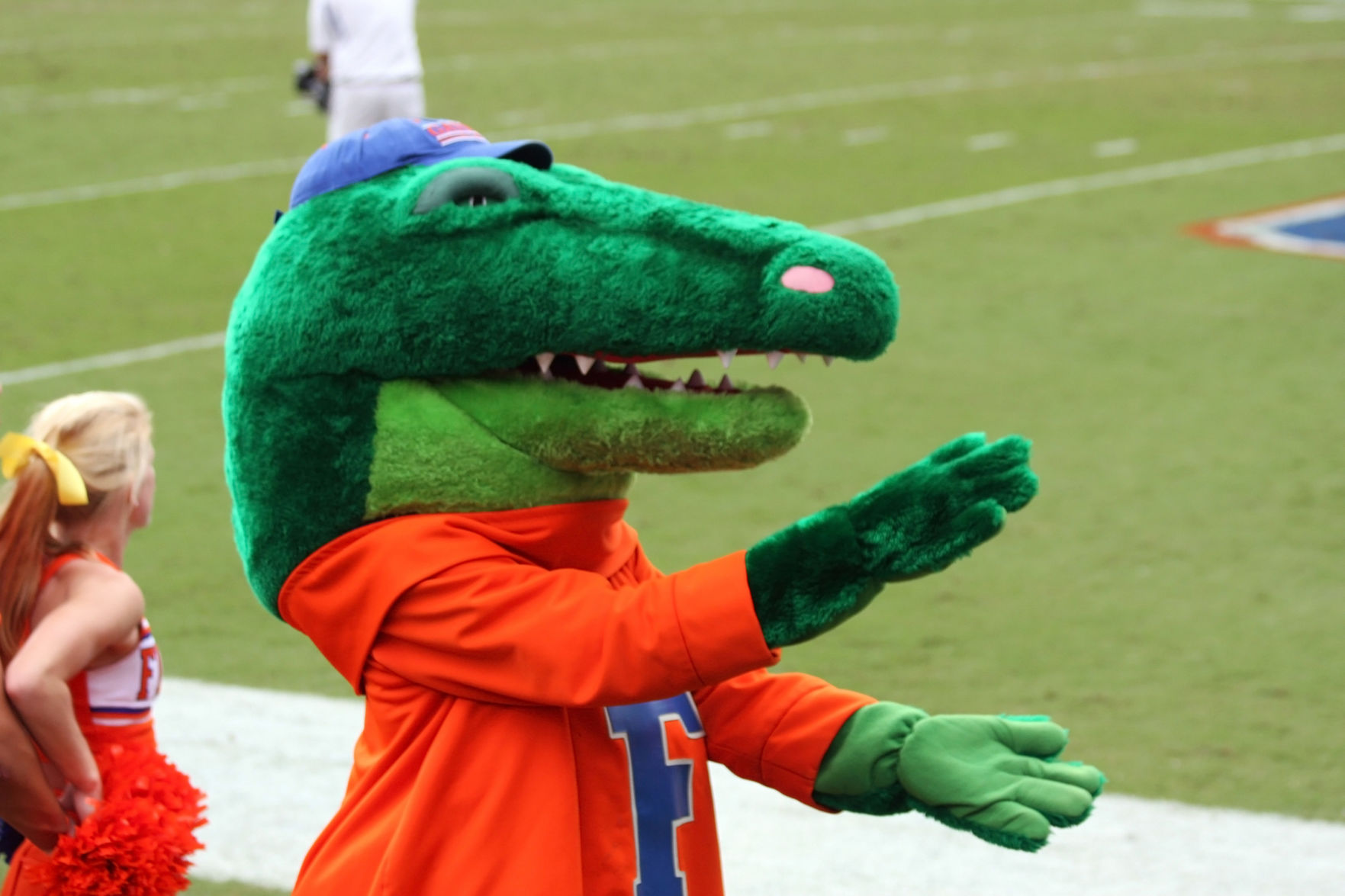 University of Florida football
